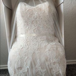 David Tutera for Mon Cheri